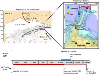 Strong hydrodynamic processes observed in the Mediterranean Cassidaigne submarine canyon